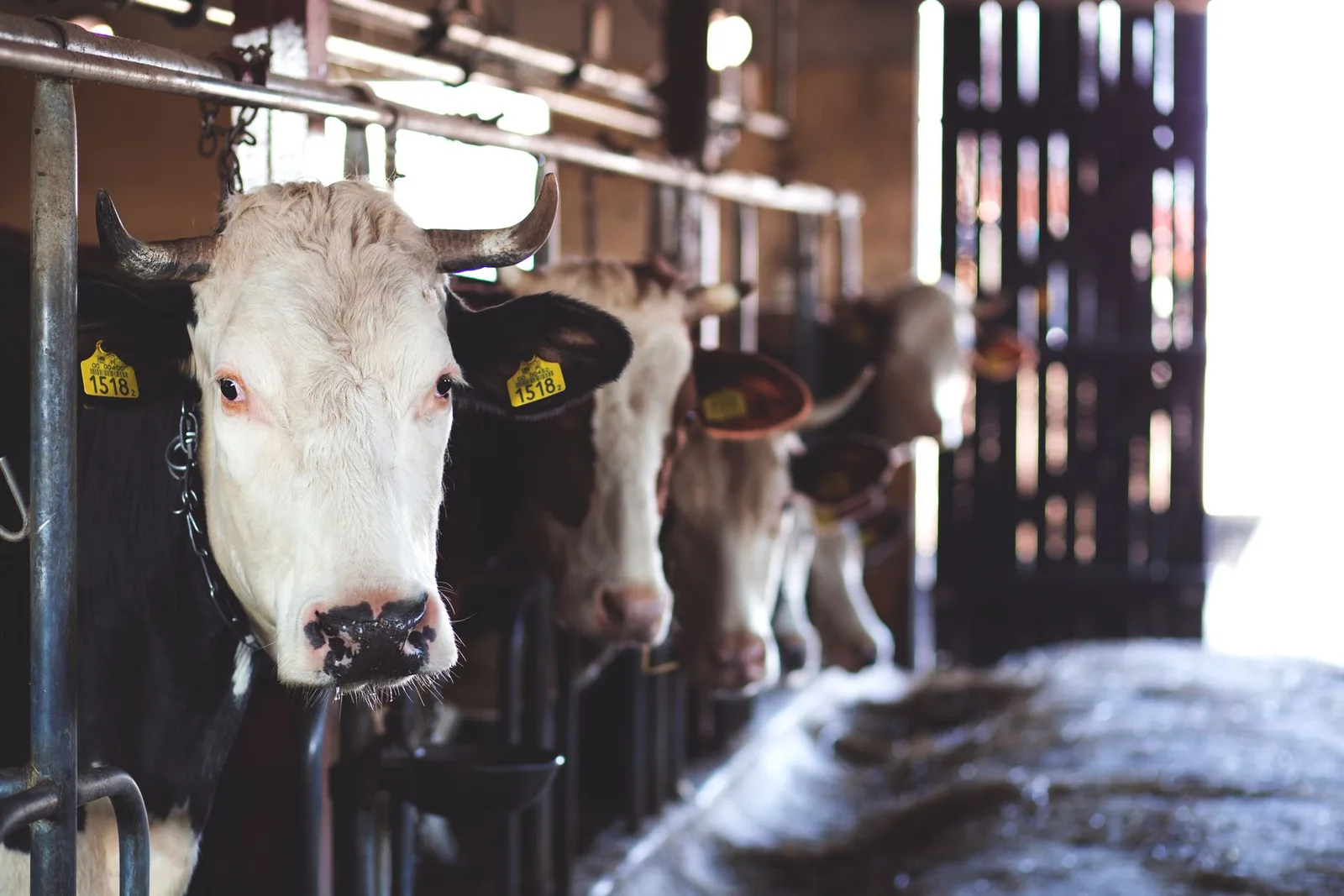 Farm and Agricultural Restrooms in Virginia Beach, VA