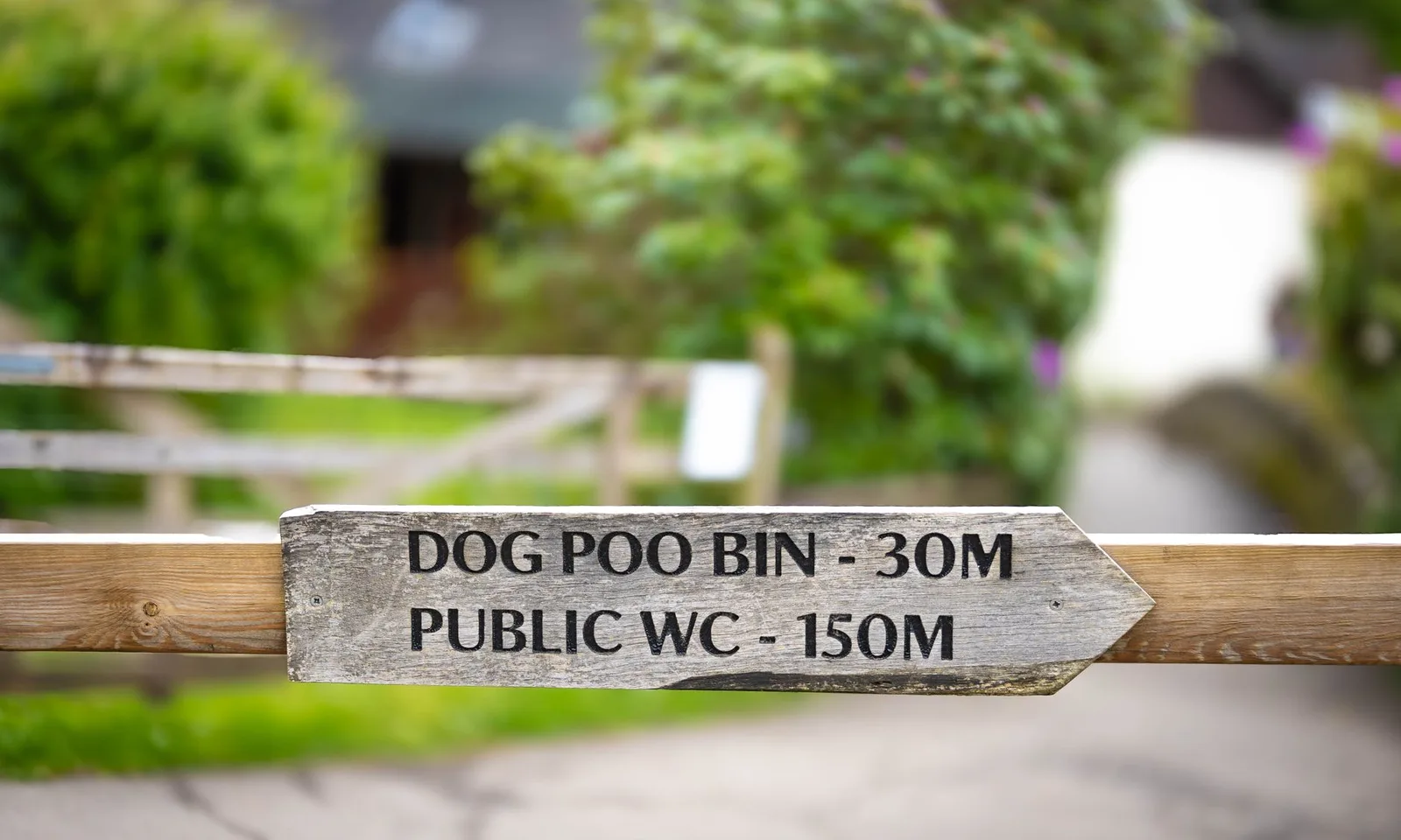Porta Potty Permit Requirements in Virginia Beach, VA